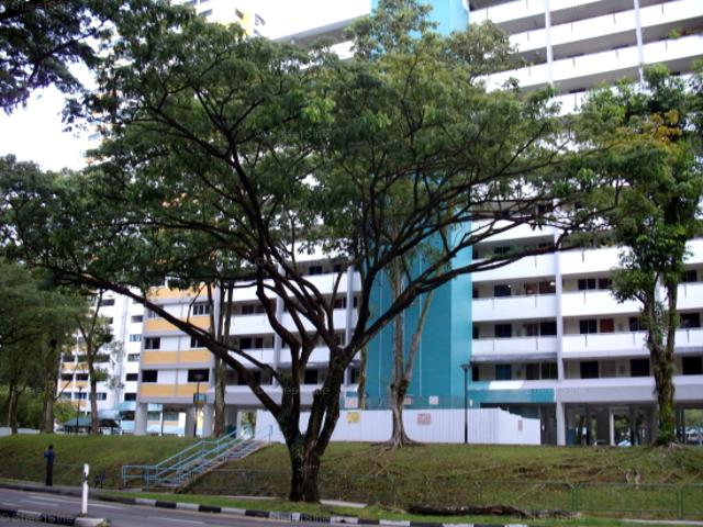 Clementi Avenue 2 Clementi, HDB 3 Rooms