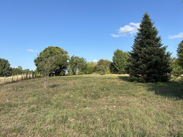 Clérac Vente Terrain 17