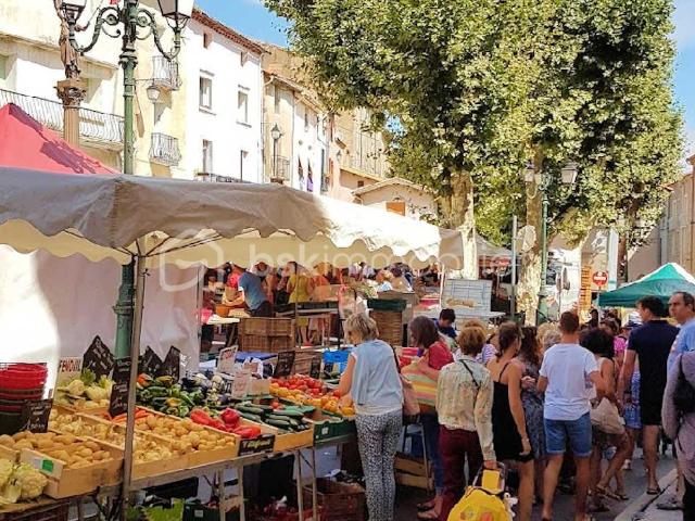Clermont l'Hérault Vente Terrain 34