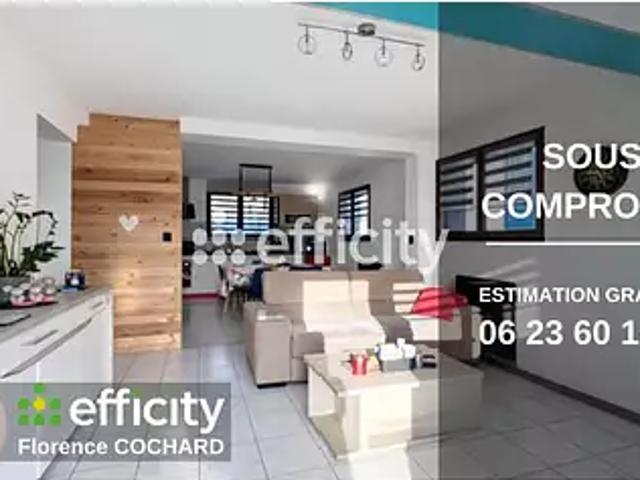 Cluses 74300 Achat / Vente appartement 3 pièces t3 jardin cave