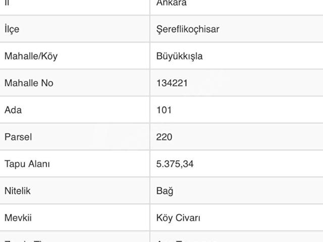 CMT GYM'DEN Ş.KOÇHİSAR BÜYÜKKIŞLA'DA SATILIK BAĞ MÜSTAKİL PARSEL