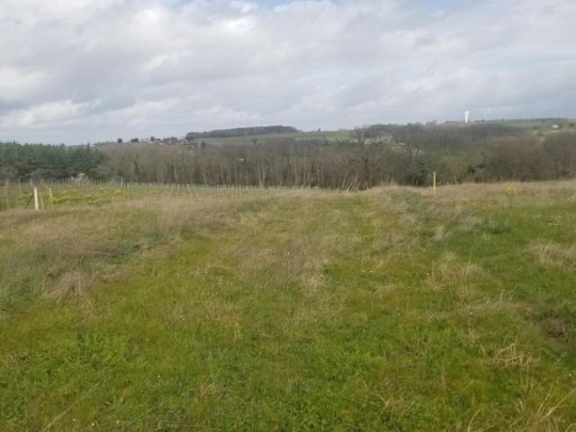 Croignon Vente Terrain 33