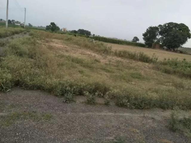Crol gao nazd sialkot moterway lahore Angoori Bagh ID 30266