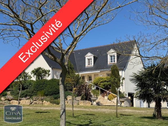 Cravant les Côteaux Vente Maison 37