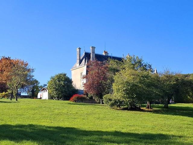 Cravant les Côteaux 37500 Maison 325 m2 7 chambres 2 gites Piscine parc 7000 m²