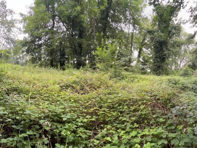 Cravent Vente Terrain 78