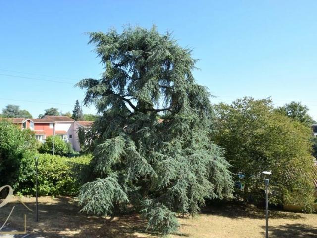 CRAPONNE Centre – Joli Appartement T4 traversant de 77 m² avec balcon de 11 m², idéalement situé