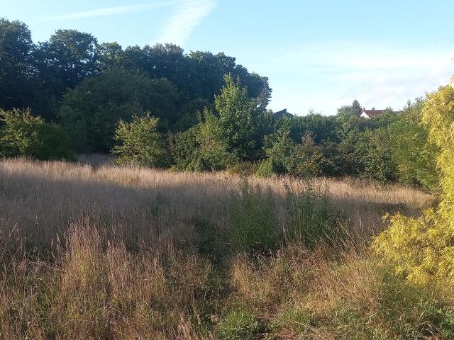Creutzwald Vente Terrain 57