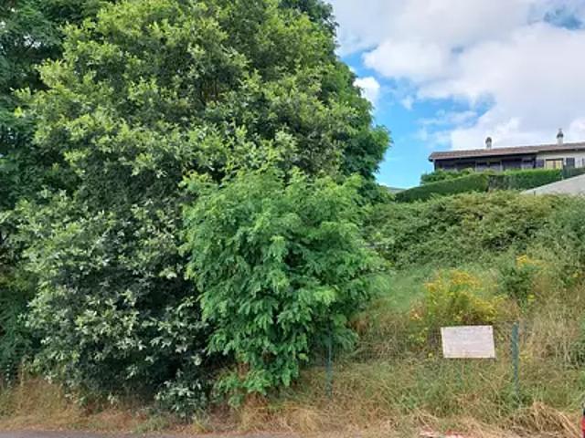 Creutzwald 57150 Achat / Vente terrain