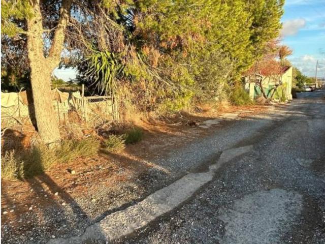 ¡Crea el Hogar de Tus Sueños en un Entorno Natural Único! Terreno en venta en Barranco de San Cayetano