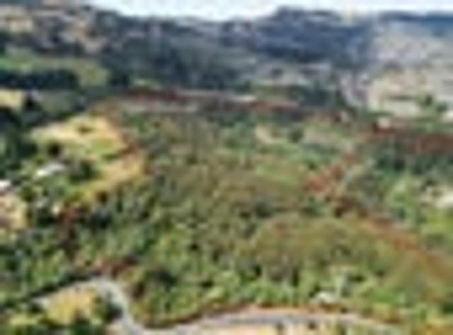 Create the Ultimate bush retreat!