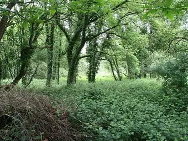 Crédin 56580 Achat / Vente terrain