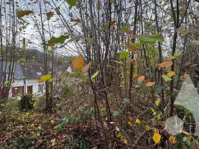 Crépy en Valois 60800 Achat / Vente terrain