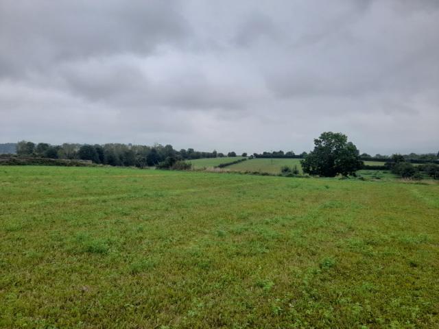 Cressy Vente Terrain 76