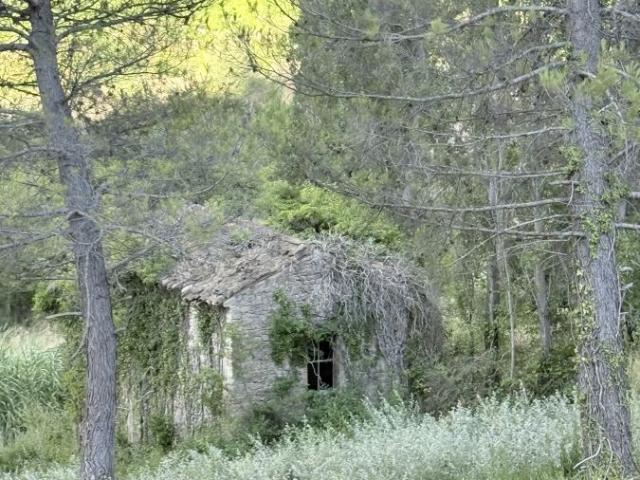 Crestet Vente Terrain 84