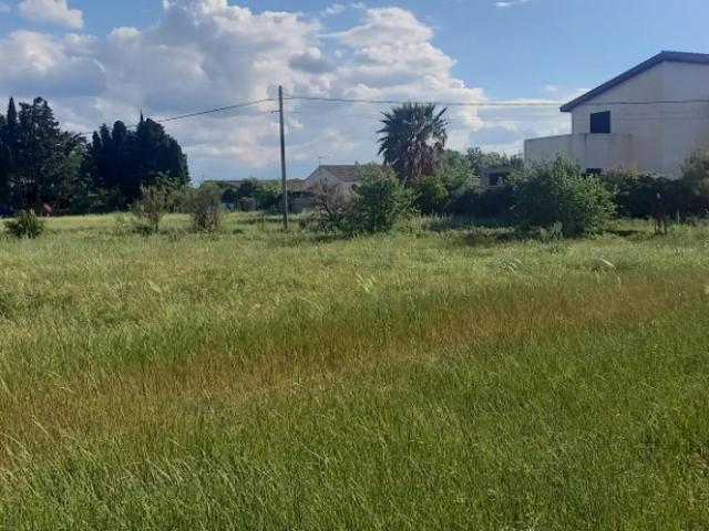 Cruscades Vente Terrain 11
