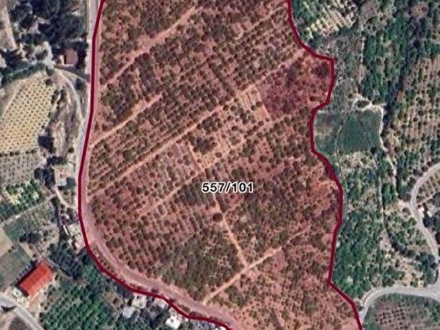 CTN MERSİN ERDEMLİ ARPAÇBAHŞİŞ'DE 1800m2 KAÇMAZ FIRSAT TARLA