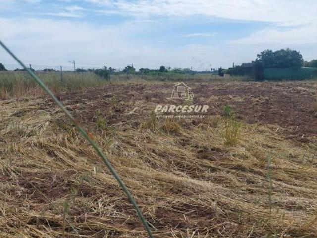 ctra aeropuerto, terreno de 1000m²
