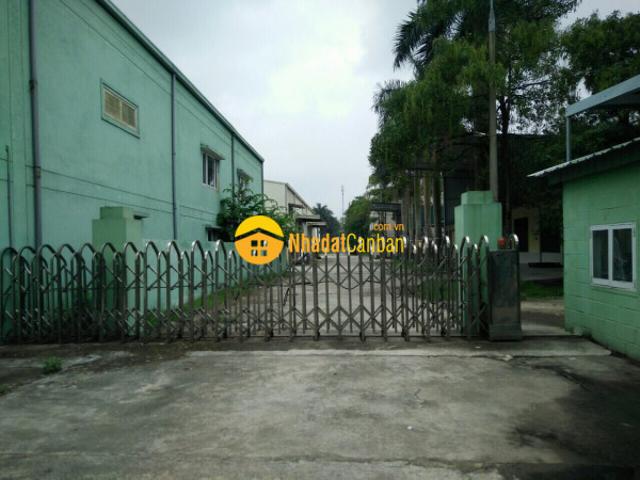 Cty cần chuyển nhượng kho xưởng tại thanh oai hà nội