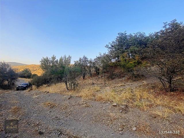 AYAŞTA TEK TAPU 555 m2 BAĞ YERİ