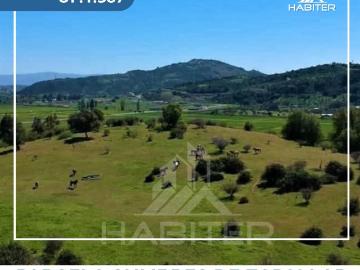 CUMBRES DE ZAPALLAR
