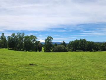 Cunco