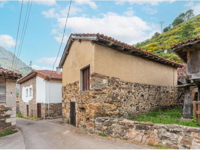 ¡Cuadra y terreno rústico en venta en Páramo, Teverga!