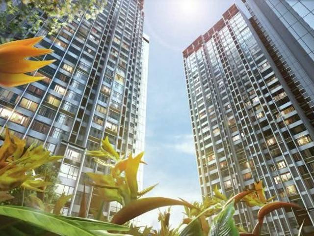 Cubic Botanical, Kampung Pantai, Pantai