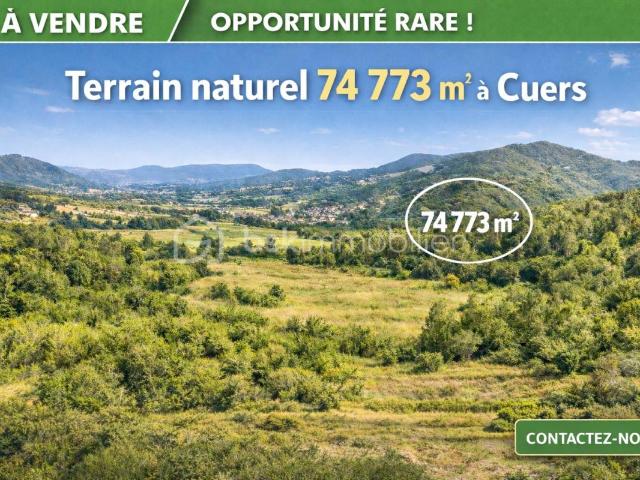 Cuers Vente Terrain 83