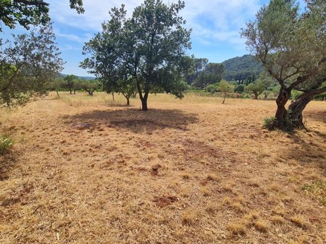 Cuers Vente Terrain 83