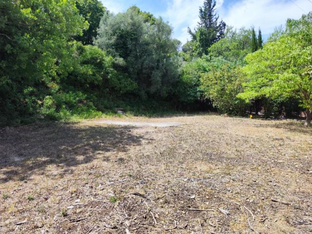 Cuers Vente Terrain 83
