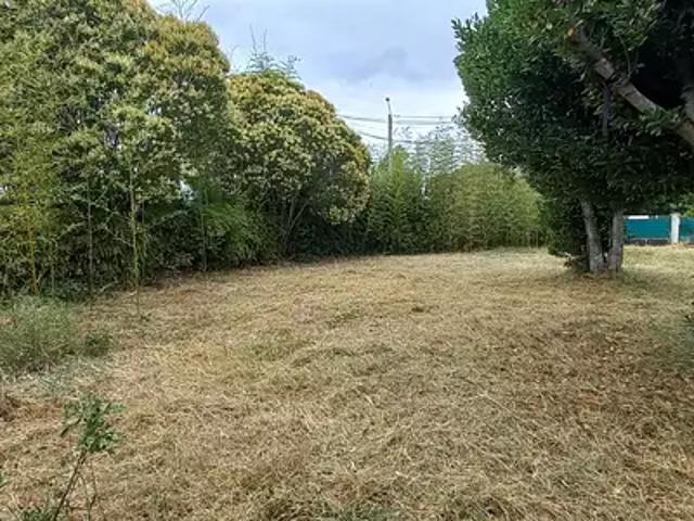 Cugnaux 31270 Achat / Vente terrain