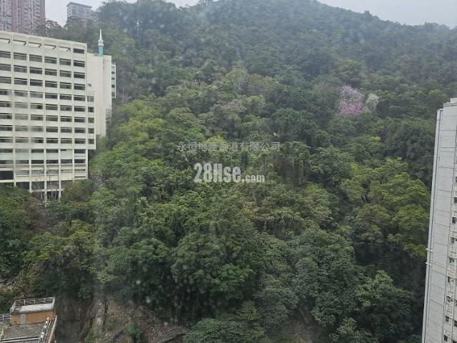翠巒閣 #3785 租盤樓盤詳細資料
