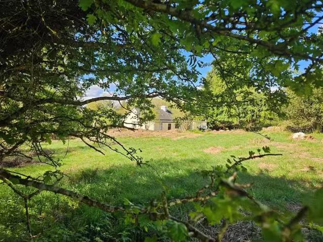 Cuing Beg, Foxford, Mayo