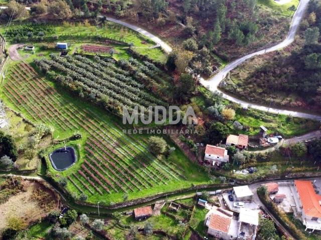 Cultive o seu futuro no coração de Cinfães – Viseu