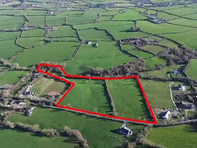 Cullenogue C. 18 Acres, Gorey, County Wexford