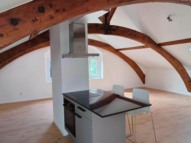 Cully  exeptionnel appartement d'une piece style loft | dreamo. Ch