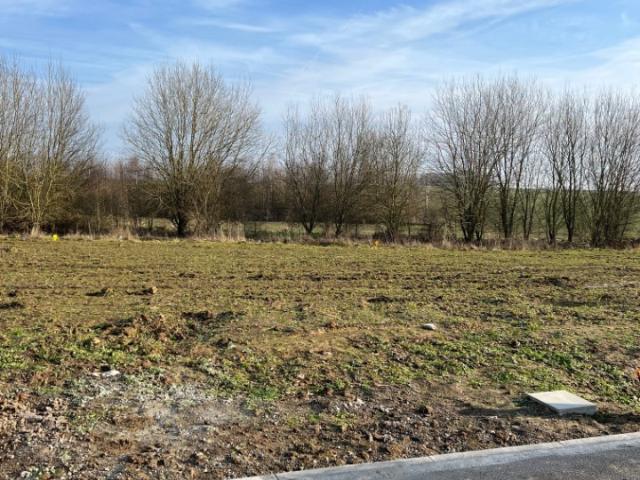 Curgies Vente Terrain 59