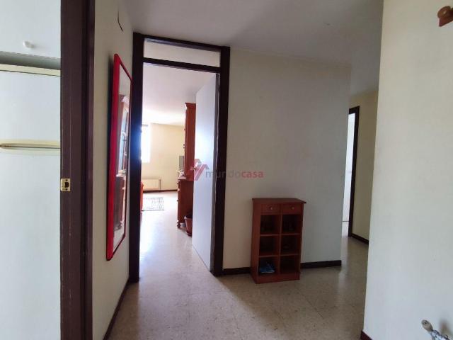 Curso escolar