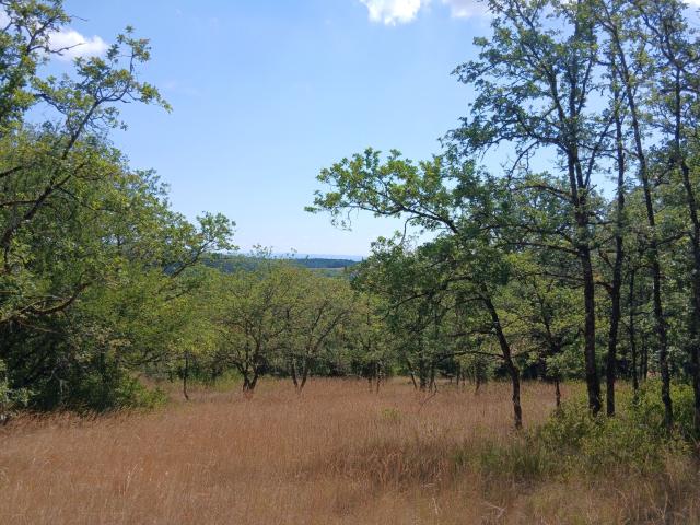 Cuzance Vente Terrain 46