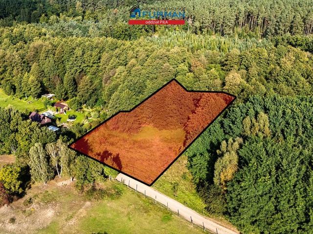 Działka 3041 m² z warunkami zabudowy, las, Piła 4 km