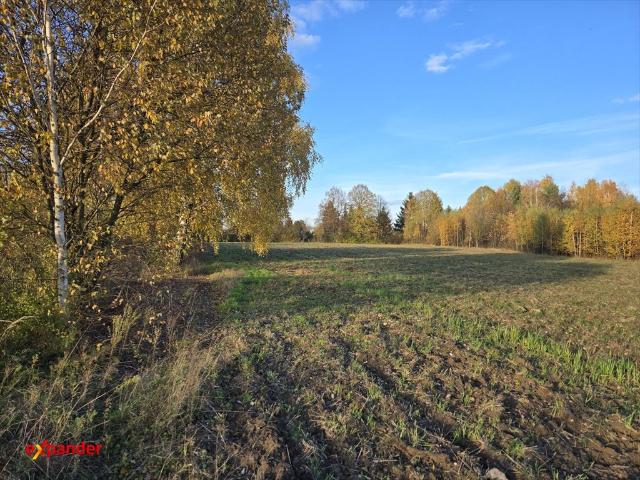 Ustawna działka 6000 m² z mediami i parkową roślinnością