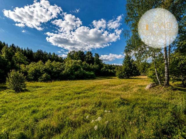 Czajkowa 1 205 m², Dąbrowa Górnicza