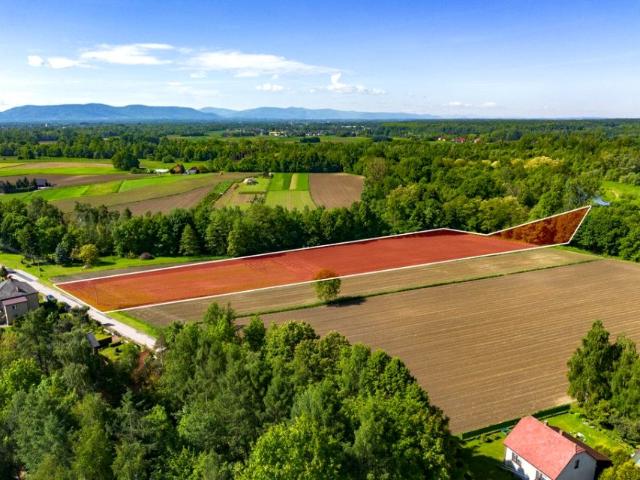 Czajki 11 778 m², Grojec