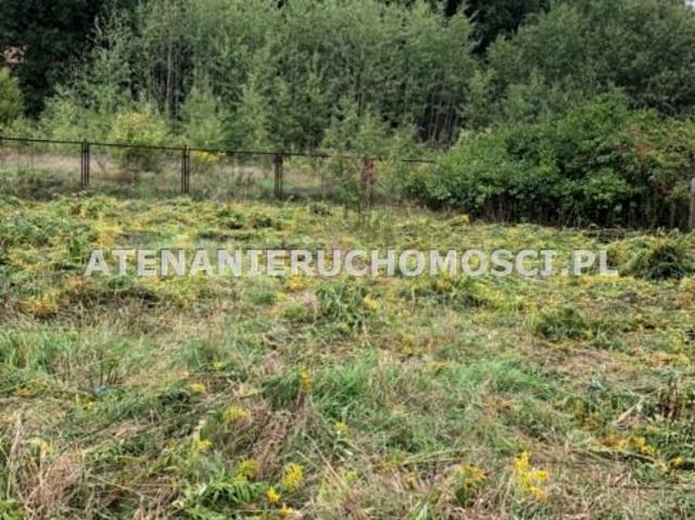 Czapla 493 m², Bydgoszcz