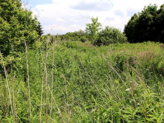 Czarna 2 900 m², Radom
