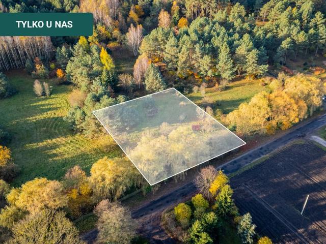 Działka budowlana 1695 m² w Czarne Błoto, las, dojazd asfalt