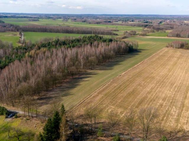 Czarny Las 14 911 m², Woźniki