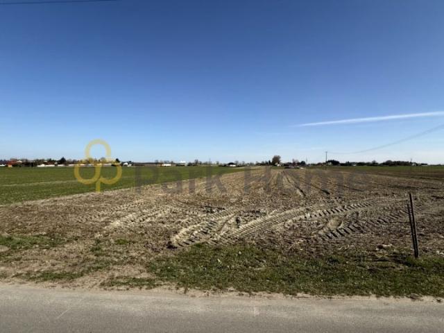 Czerniejewska 720 m², Kłecko