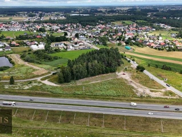 Czynu Tysiąclecia 17 700 m², Bojano